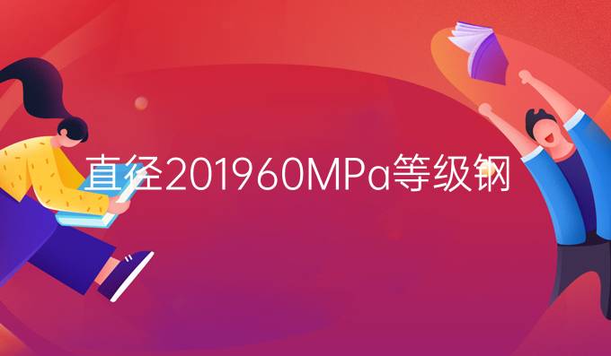 直径201960MPa等级钢丝绳