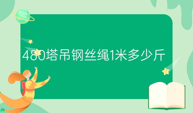 480塔吊钢丝绳1米多少斤