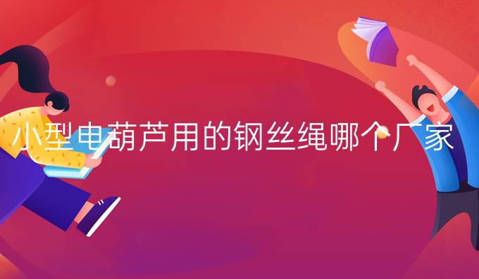小型电葫芦用的钢丝绳哪个厂家的好