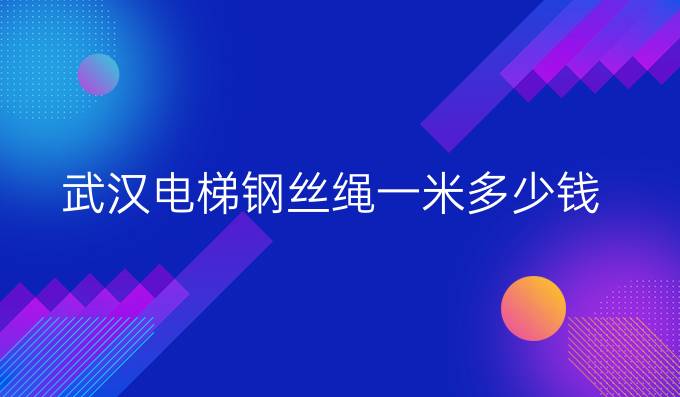武汉电梯钢丝绳一米多少钱