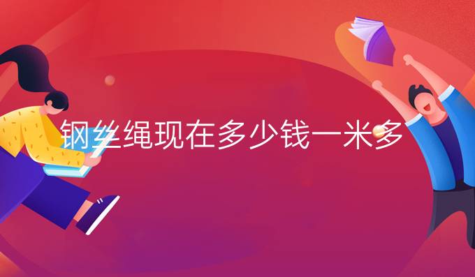 钢丝绳现在多少钱一米多