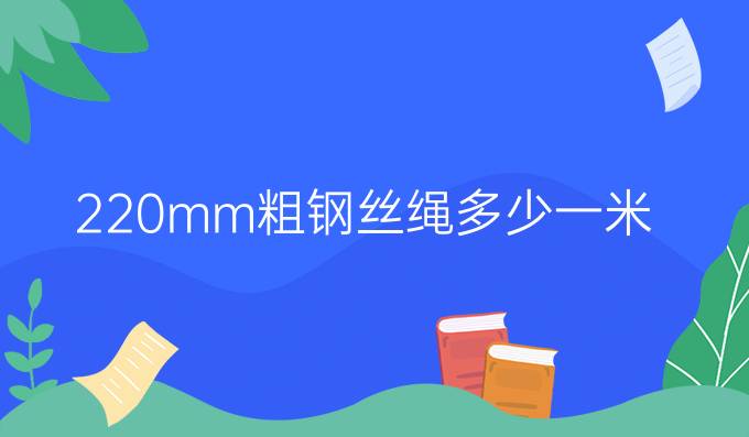 220mm粗钢丝绳多少一米