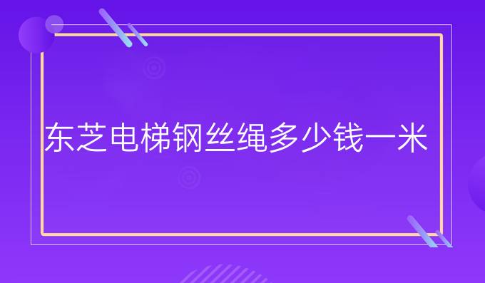 东芝电梯钢丝绳多少钱一米