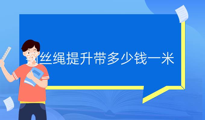 钢丝绳提升带多少钱一米