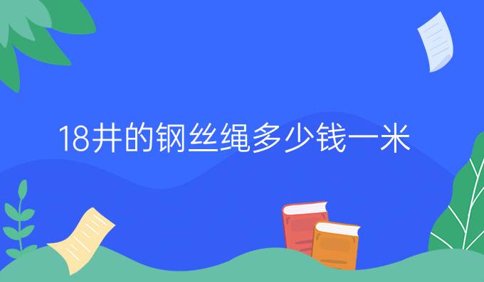 18井的钢丝绳多少钱一米