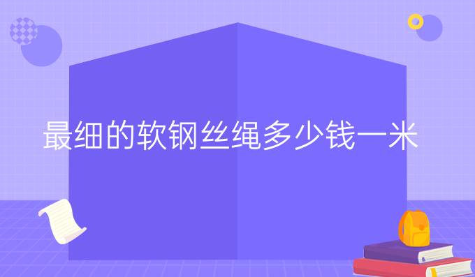 最细的软钢丝绳多少钱一米