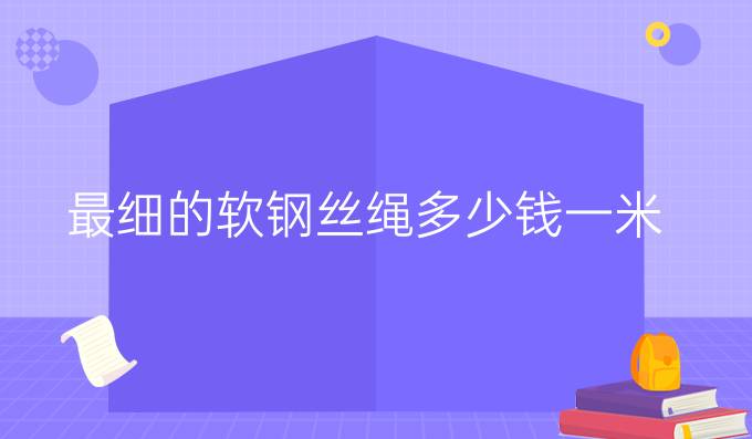 最细的软钢丝绳多少钱一米