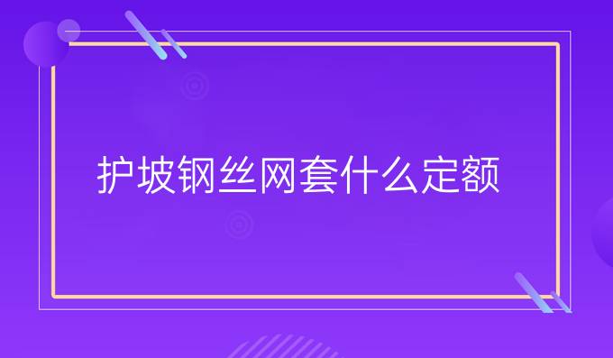 护坡钢丝网套什么定额