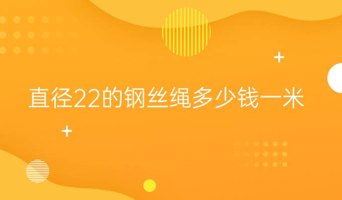 直径22的钢丝绳多少钱一米