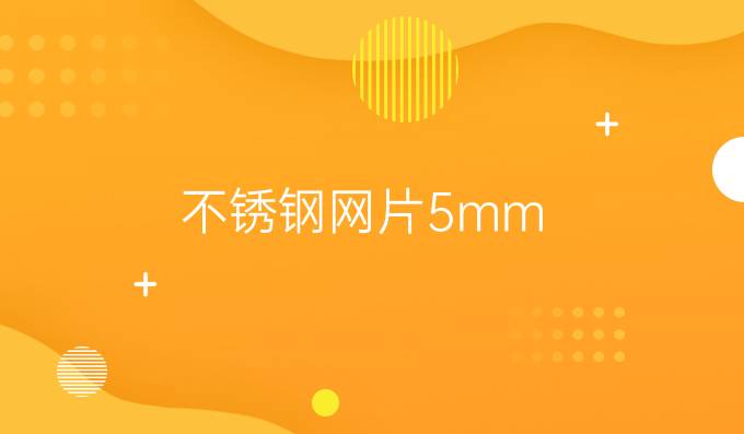 不锈钢网片5mm