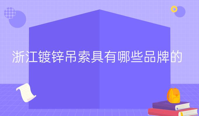 浙江镀锌吊索具有哪些品牌的