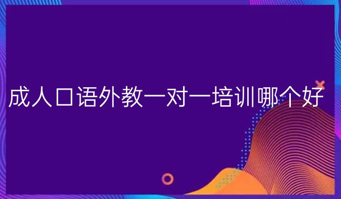 成人口语外教一对一培训哪个好