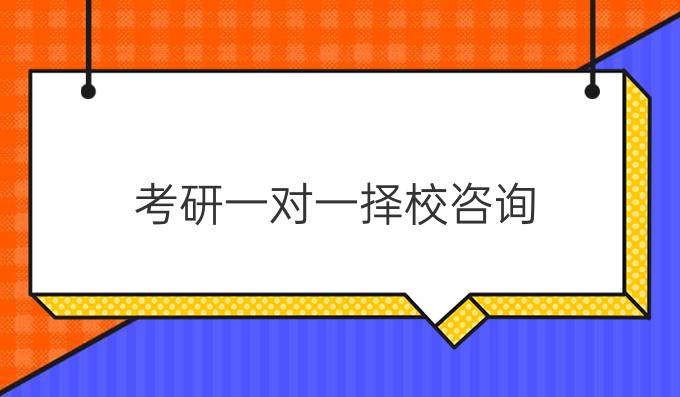 考研一对一择校咨询