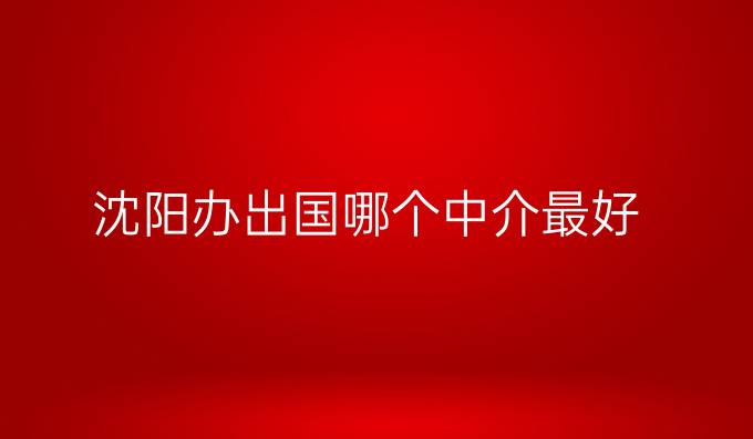 沈阳办出国哪个中介最好