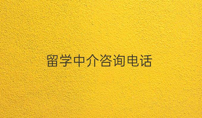 留学中介咨询电话