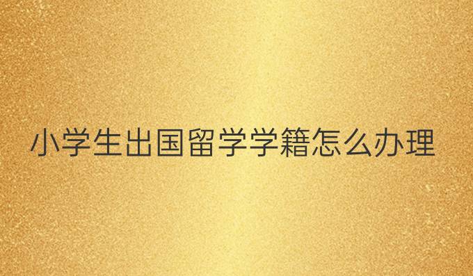 小学生出国留学学籍怎么办理