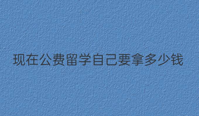 现在公费留学自己要拿多少钱