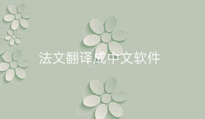 法文翻译成中文软件